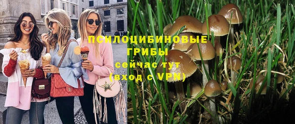амфетамин Алексеевка