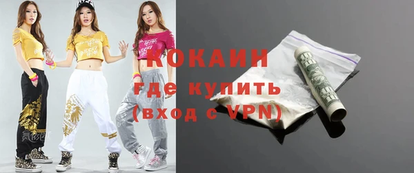 прущие грибы Осинники