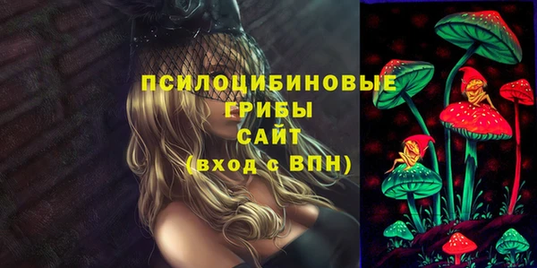 амфетамин Алексеевка