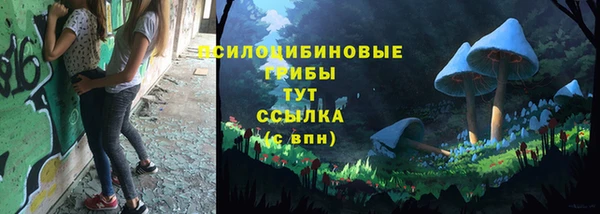 амфетамин Алексеевка