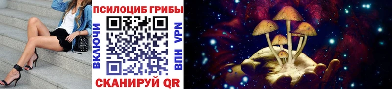 блэк спрут вход Нововоронеж Галлюциногенные грибы GOLDEN TEACHER