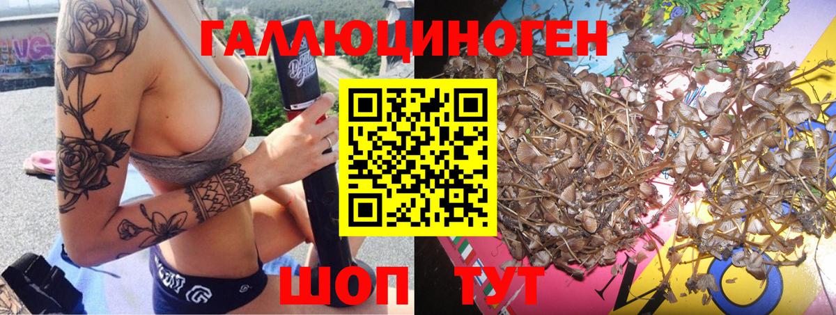 Нововоронеж  Галлюциногенные грибы MAGIC MUSHROOMS  Галлюциногенные грибы ЛСД  Вход с VPN 